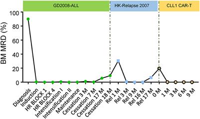 Successful Anti-CLL1 CAR T-Cell Therapy in Secondary Acute Myeloid Leukemia